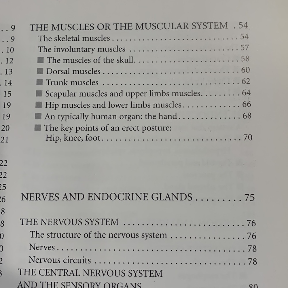 Anatomy Book - Picture 5 of 13